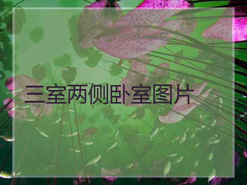 三室两侧卧室图片