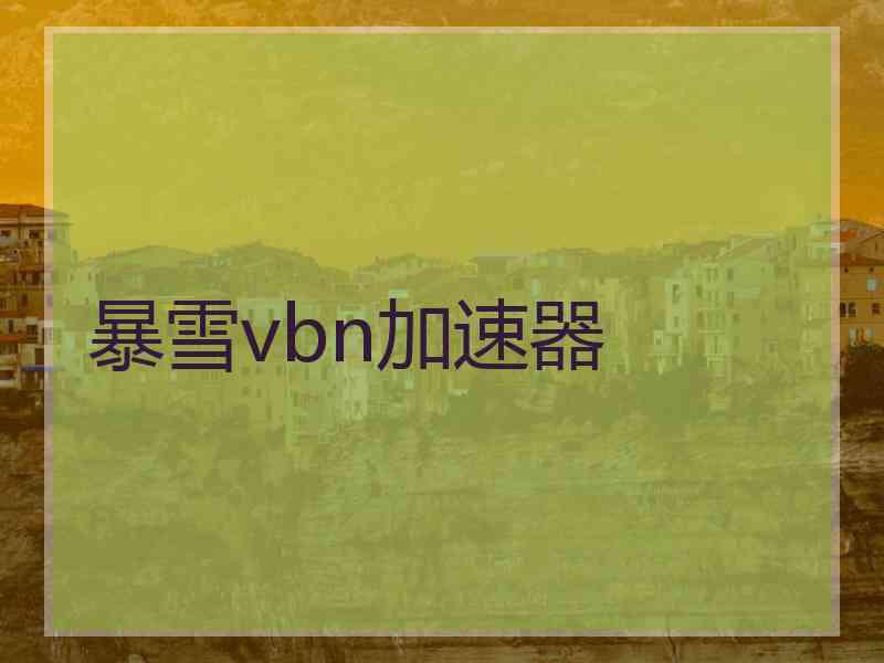 暴雪vbn加速器