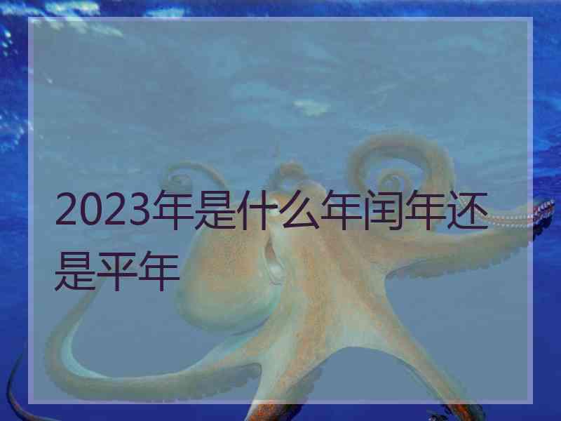 2023年是什么年闰年还是平年