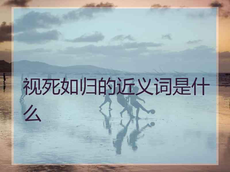 视死如归的近义词是什么
