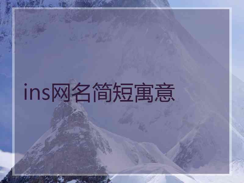 ins网名简短寓意