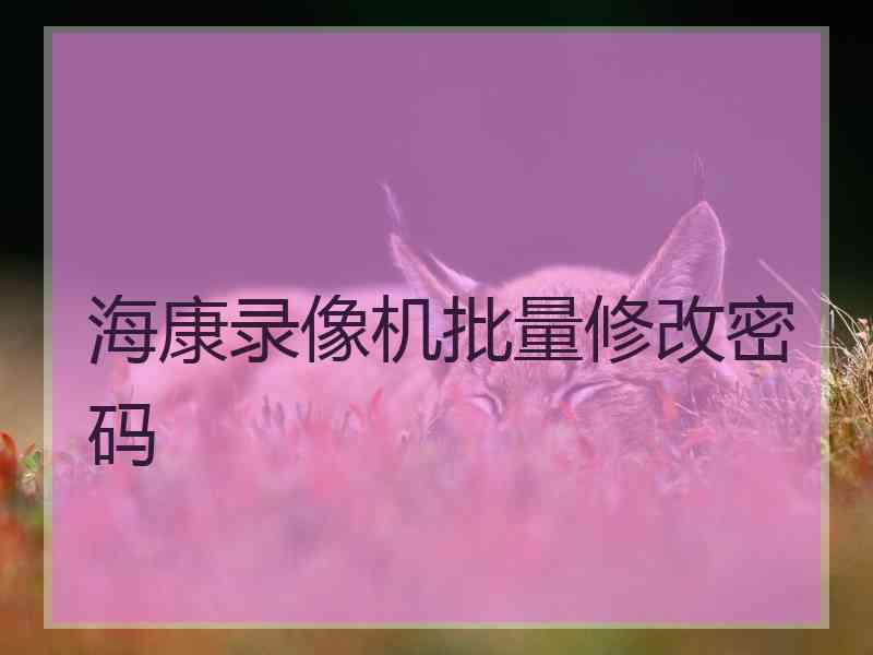 海康录像机批量修改密码