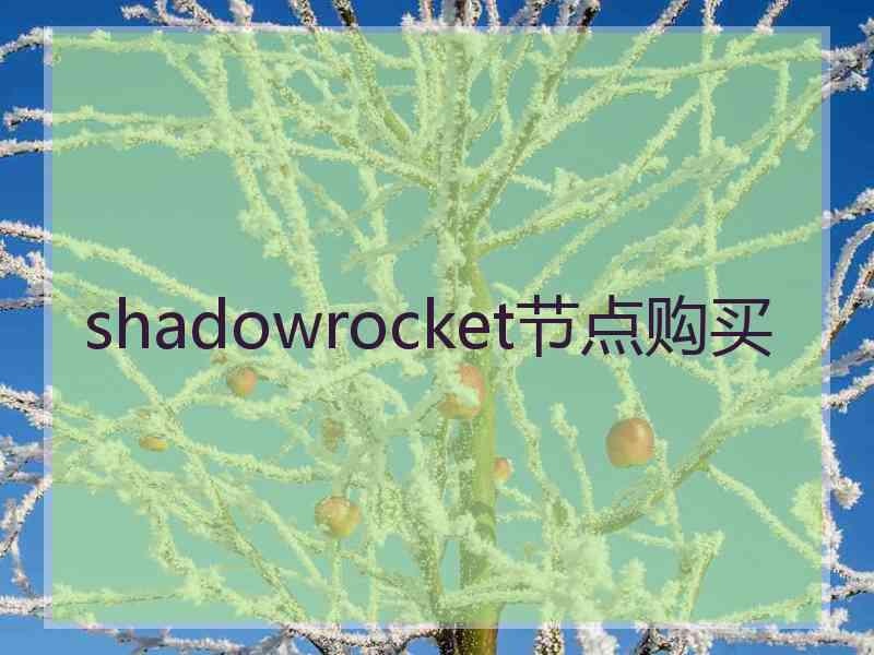 shadowrocket节点购买