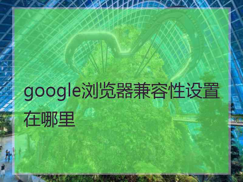 google浏览器兼容性设置在哪里