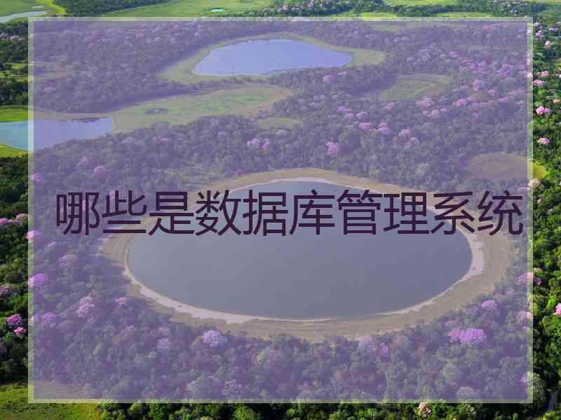 哪些是数据库管理系统