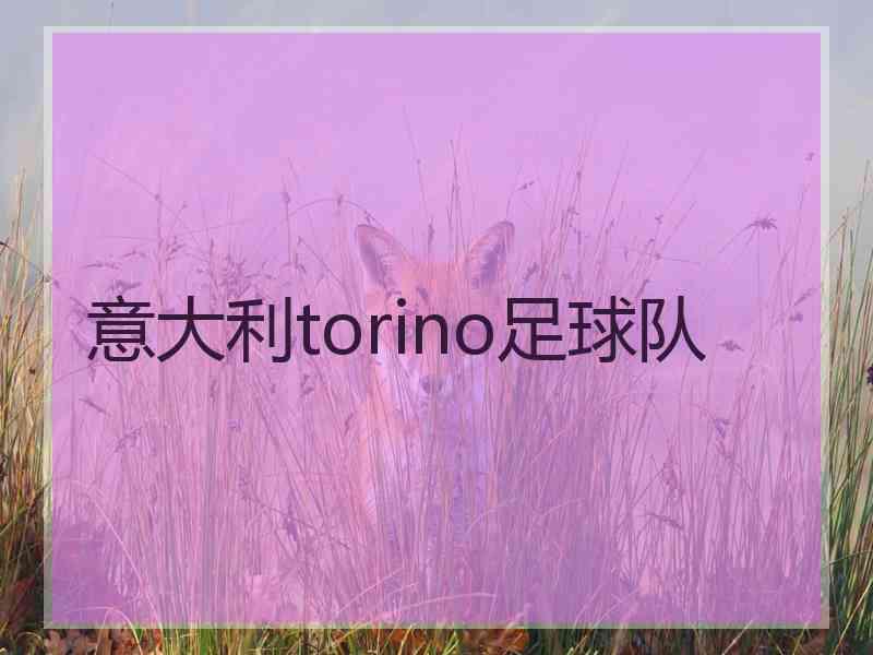 意大利torino足球队