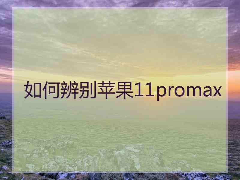 如何辨别苹果11promax