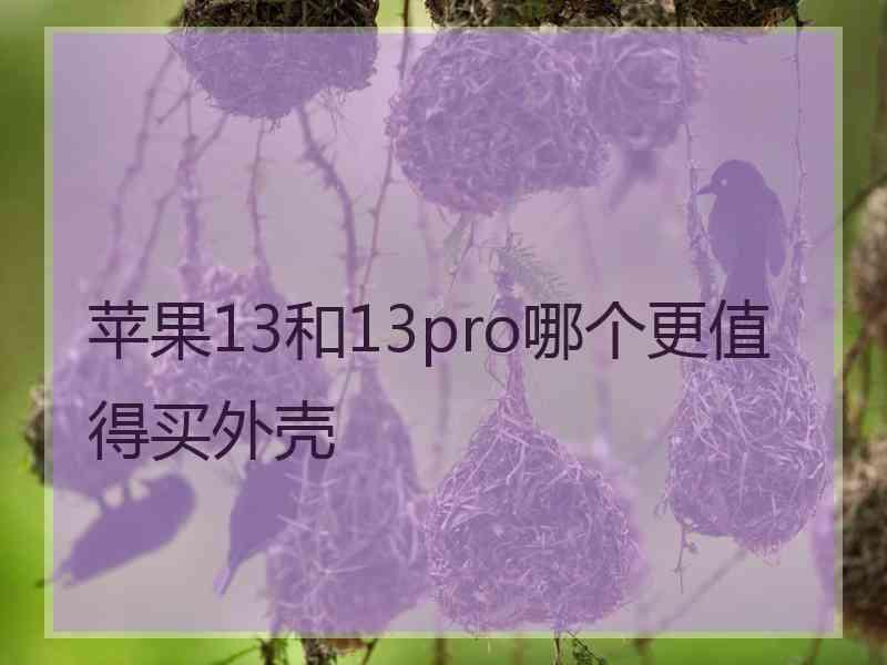 苹果13和13pro哪个更值得买外壳