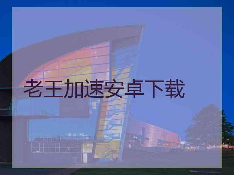 老王加速安卓下载