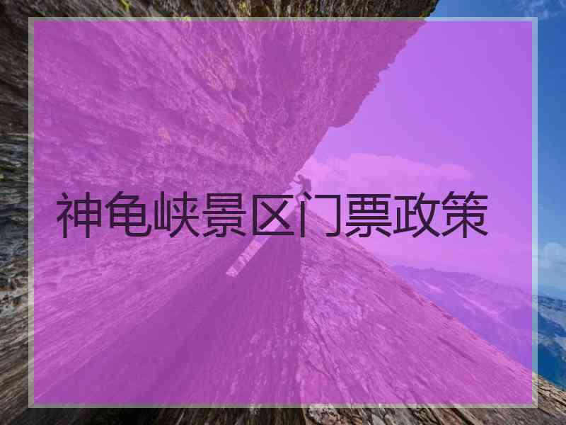 神龟峡景区门票政策