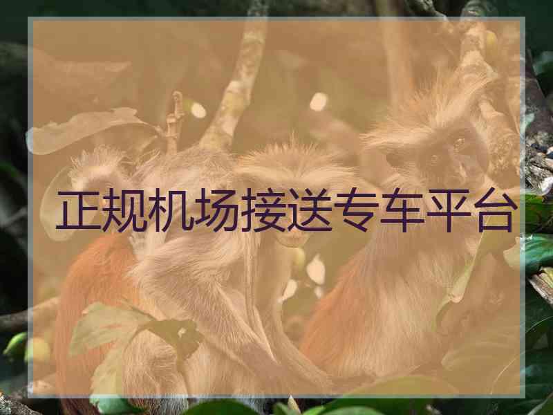 正规机场接送专车平台