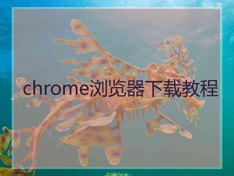 chrome浏览器下载教程