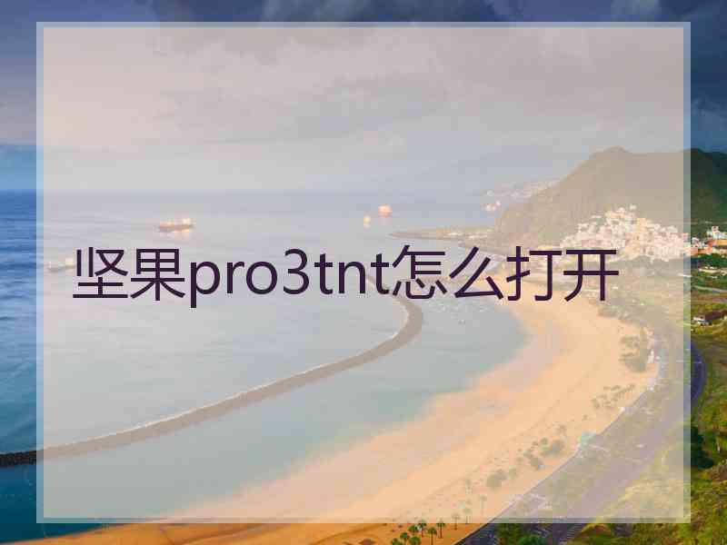 坚果pro3tnt怎么打开