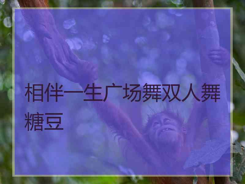 相伴一生广场舞双人舞糖豆