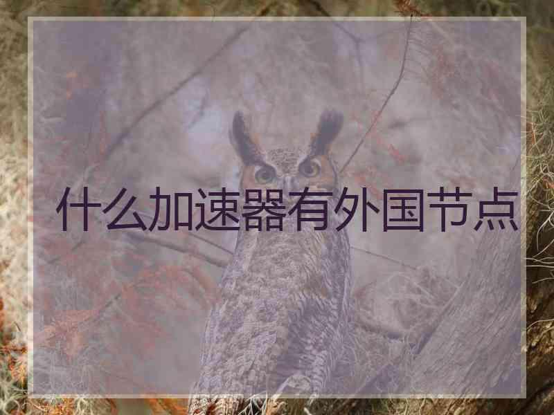 什么加速器有外国节点