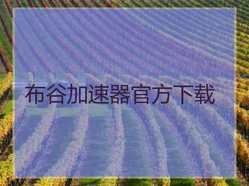 布谷加速器官方下载