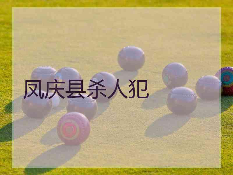 凤庆县杀人犯