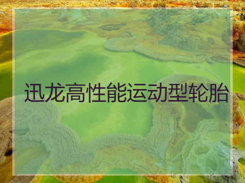 迅龙高性能运动型轮胎