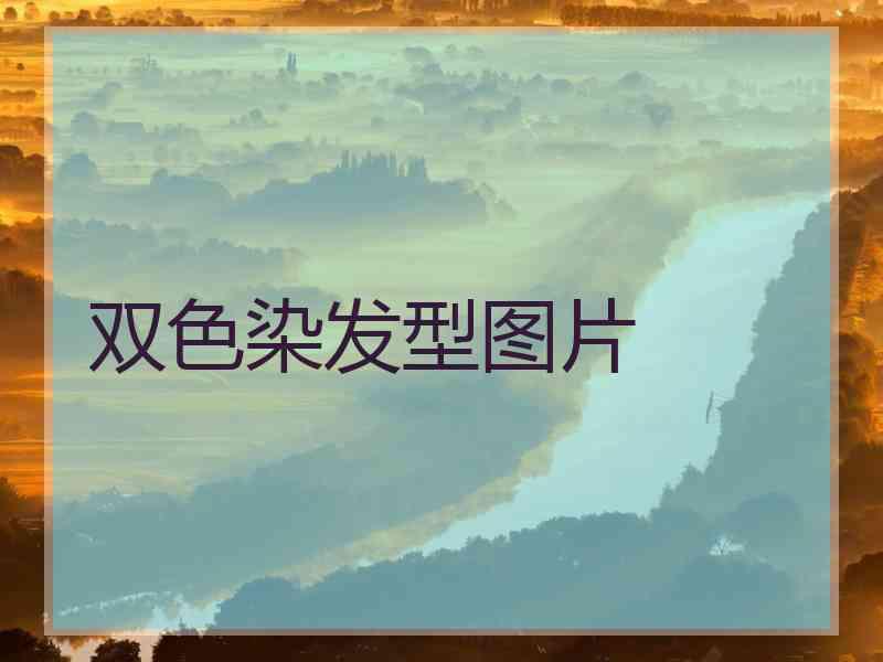 双色染发型图片