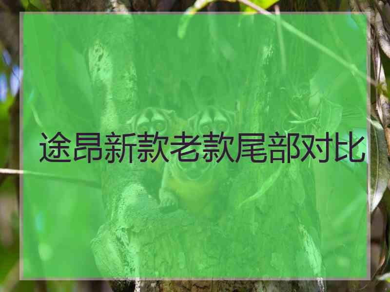 途昂新款老款尾部对比