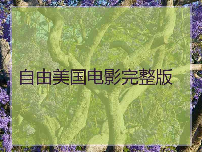 自由美国电影完整版