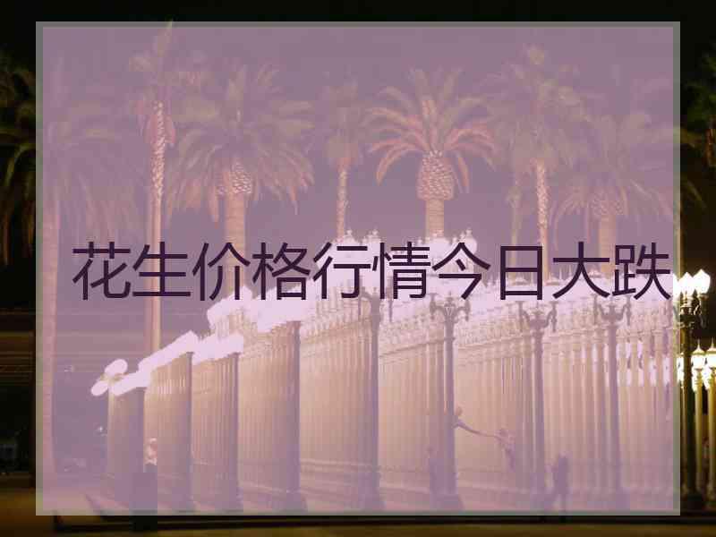 花生价格行情今日大跌