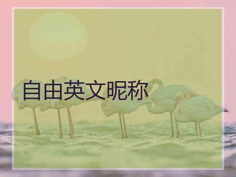 自由英文昵称