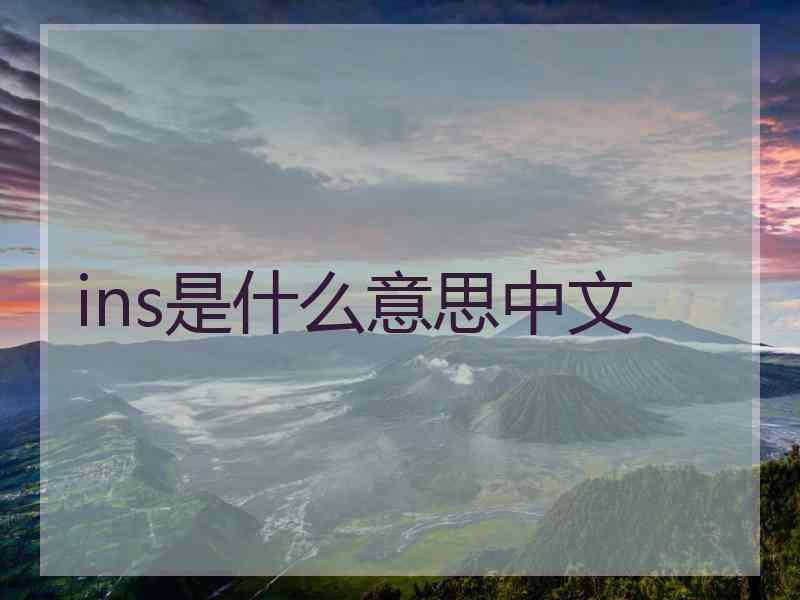 ins是什么意思中文