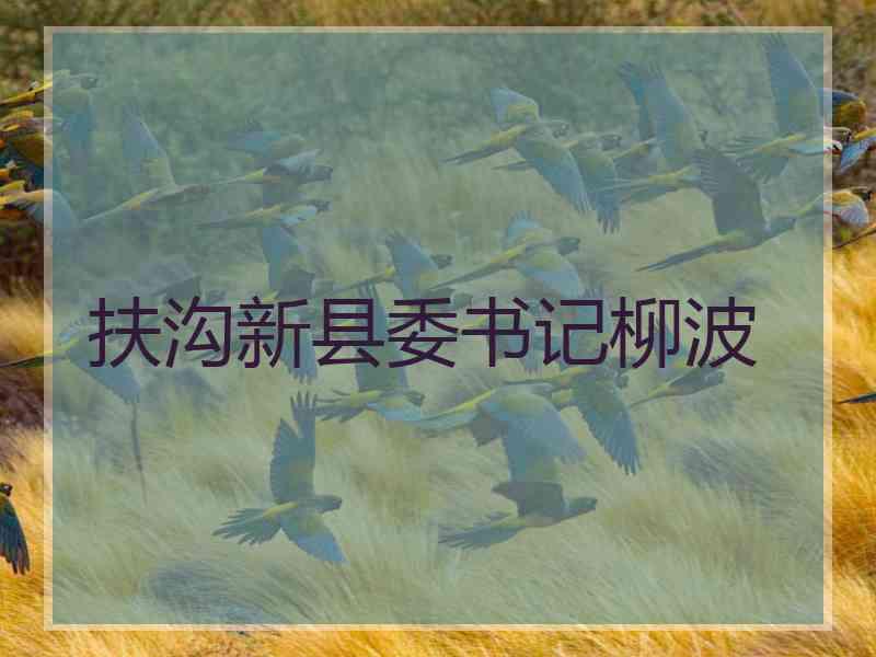 扶沟新县委书记柳波