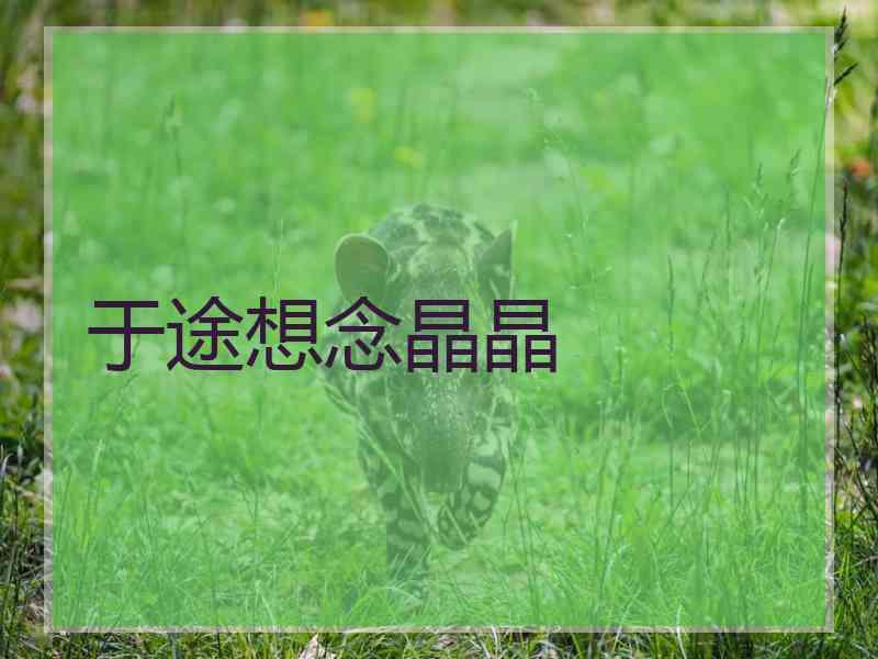 于途想念晶晶