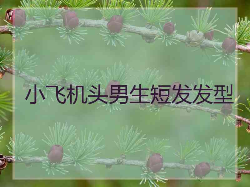 小飞机头男生短发发型