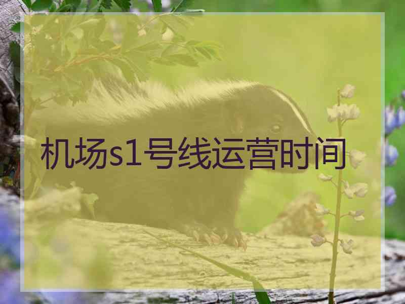 机场s1号线运营时间
