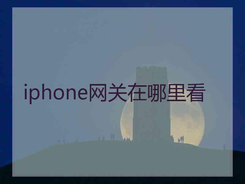 iphone网关在哪里看