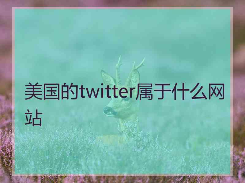 美国的twitter属于什么网站