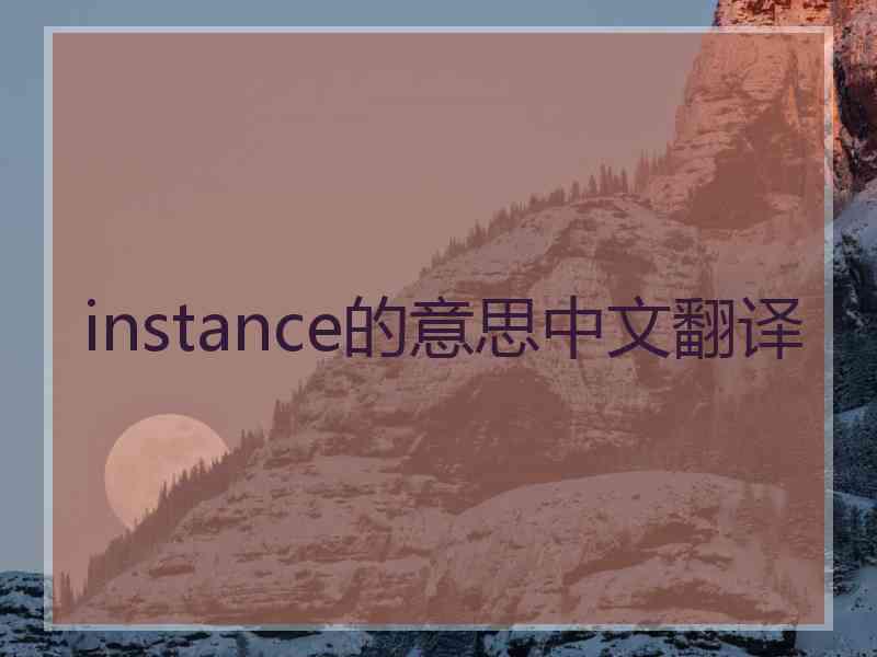 instance的意思中文翻译