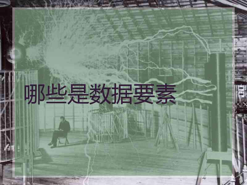 哪些是数据要素