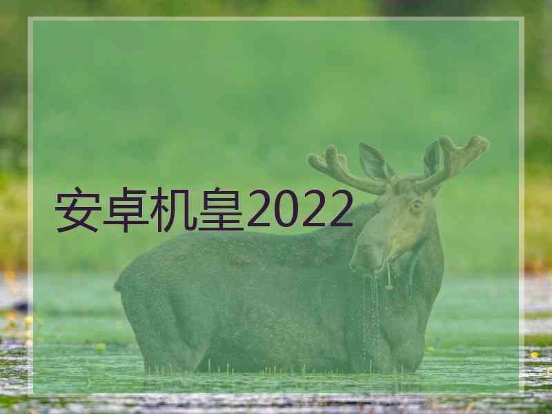 安卓机皇2022