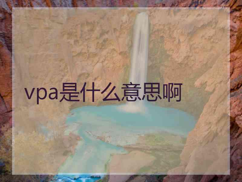 vpa是什么意思啊