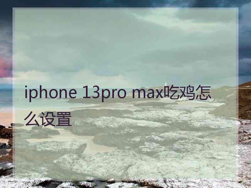 iphone 13pro max吃鸡怎么设置