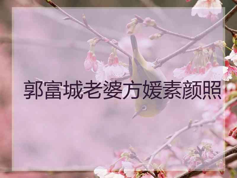 郭富城老婆方媛素颜照