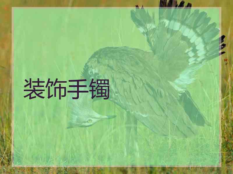 装饰手镯