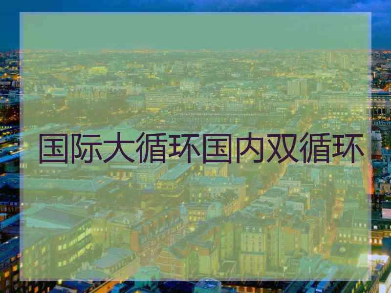 国际大循环国内双循环