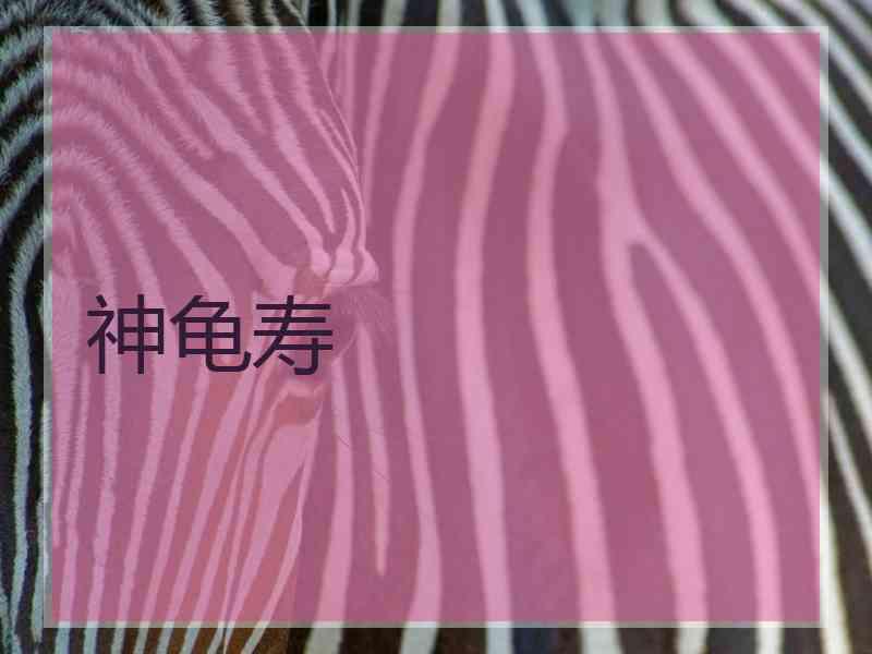神龟寿