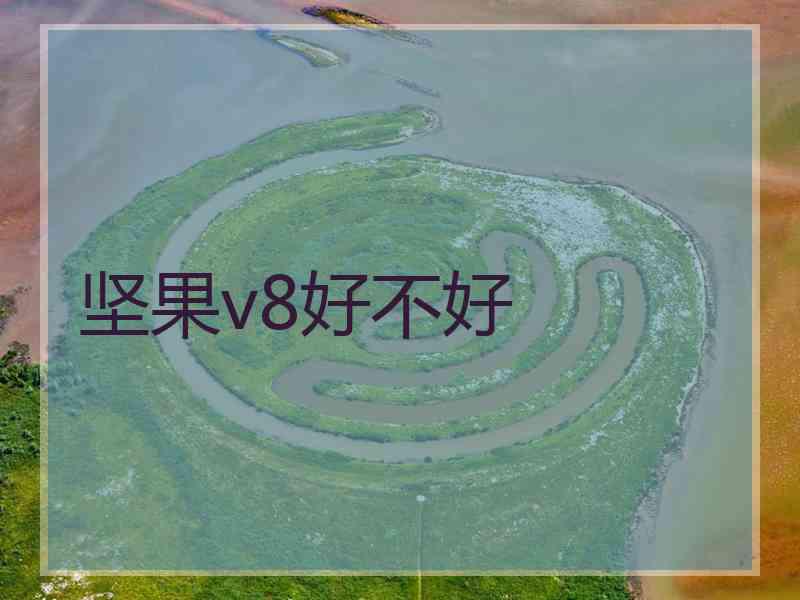 坚果v8好不好