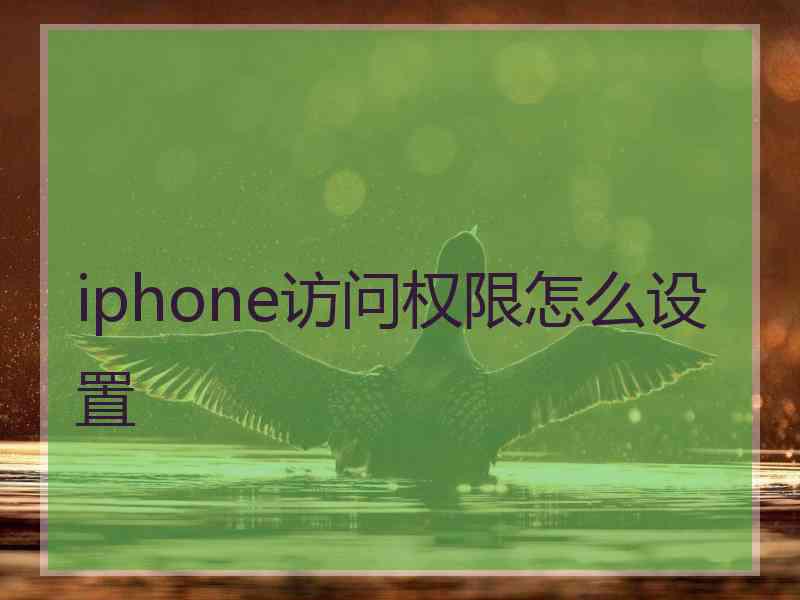 iphone访问权限怎么设置