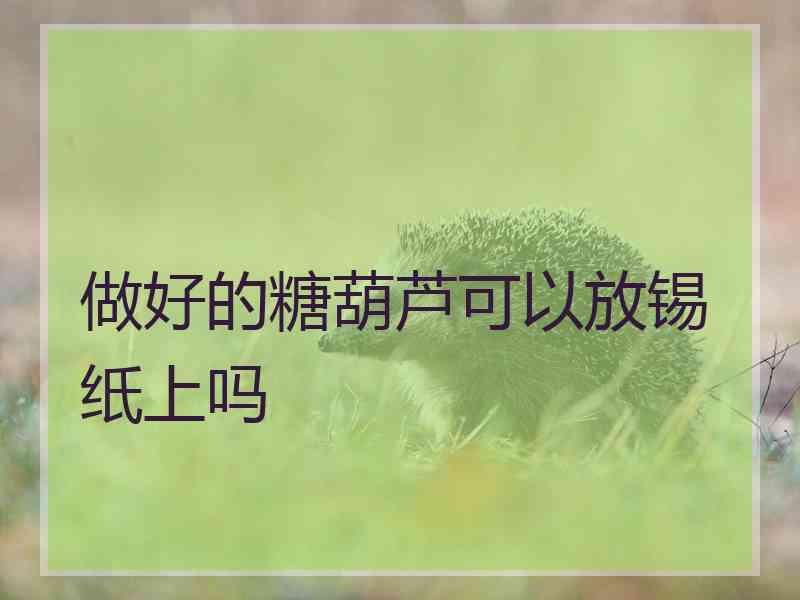 做好的糖葫芦可以放锡纸上吗