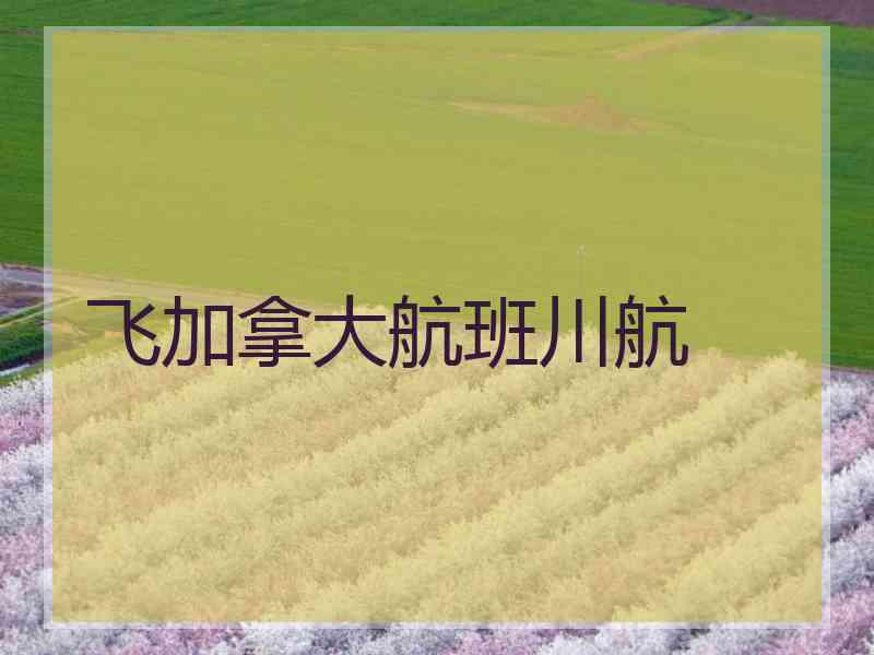 飞加拿大航班川航