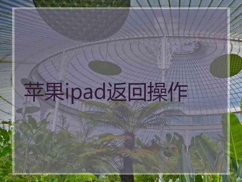 苹果ipad返回操作