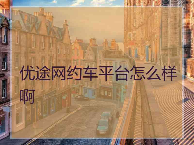 优途网约车平台怎么样啊