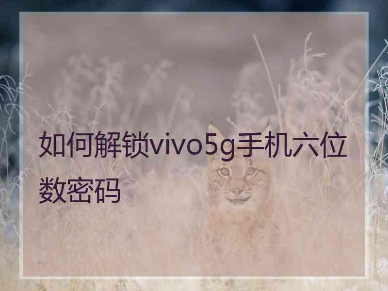 如何解锁vivo5g手机六位数密码